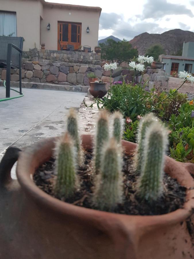 Tierra Primitiva Daire Tilcara Dış mekan fotoğraf