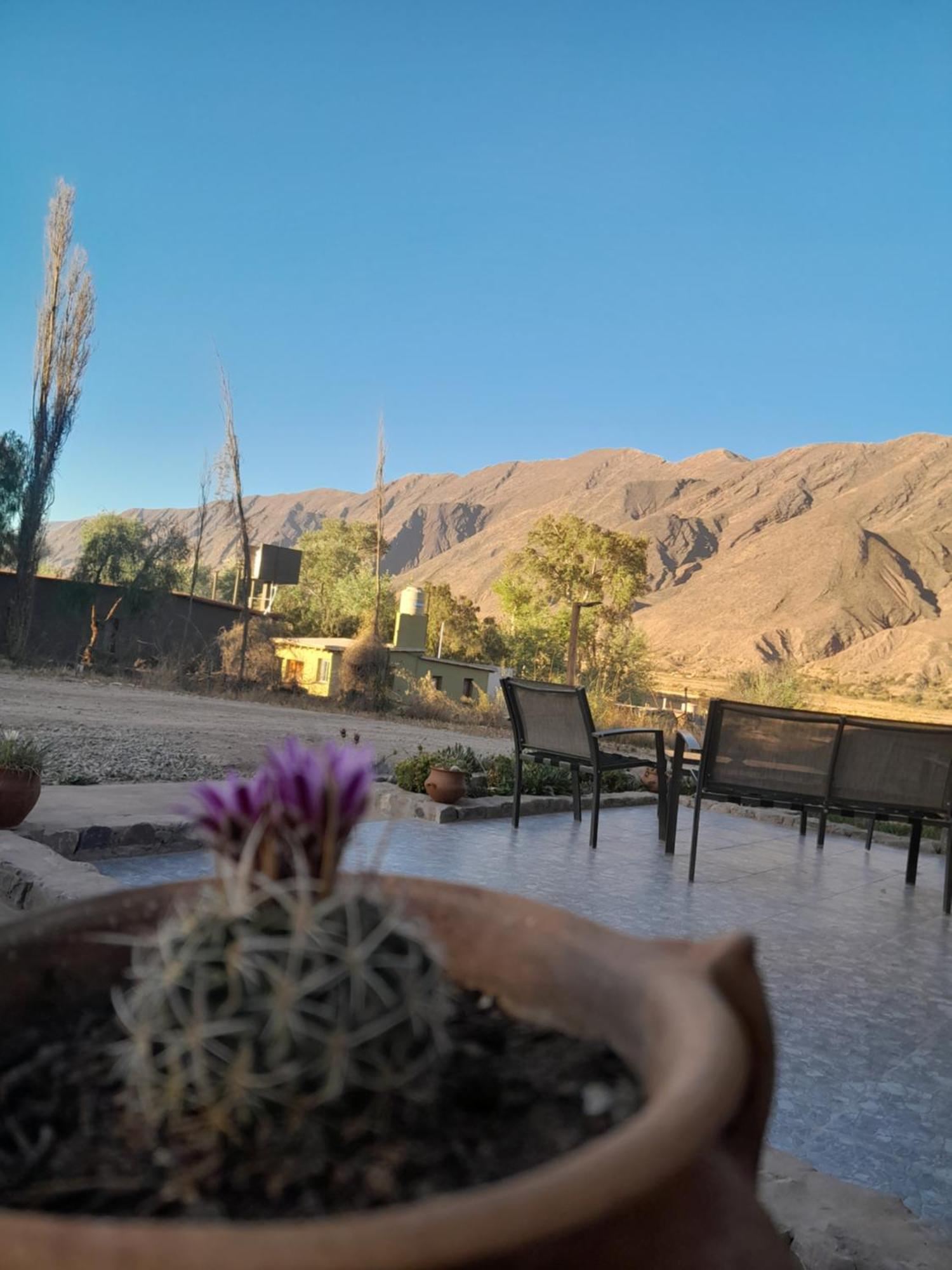 Tierra Primitiva Daire Tilcara Dış mekan fotoğraf