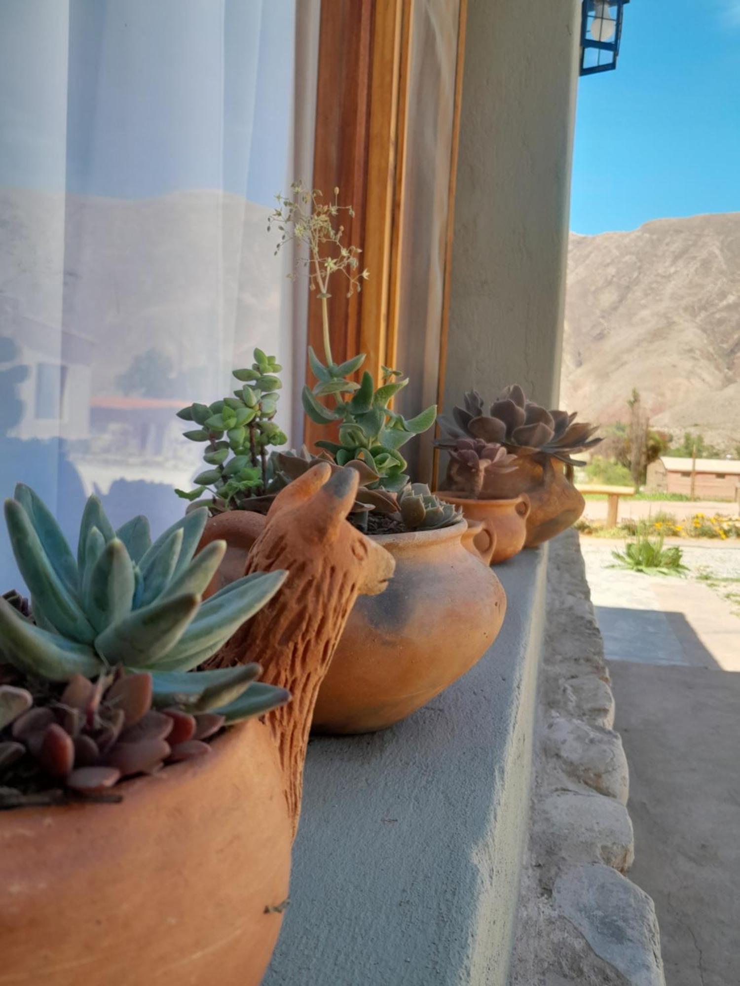 Tierra Primitiva Daire Tilcara Dış mekan fotoğraf
