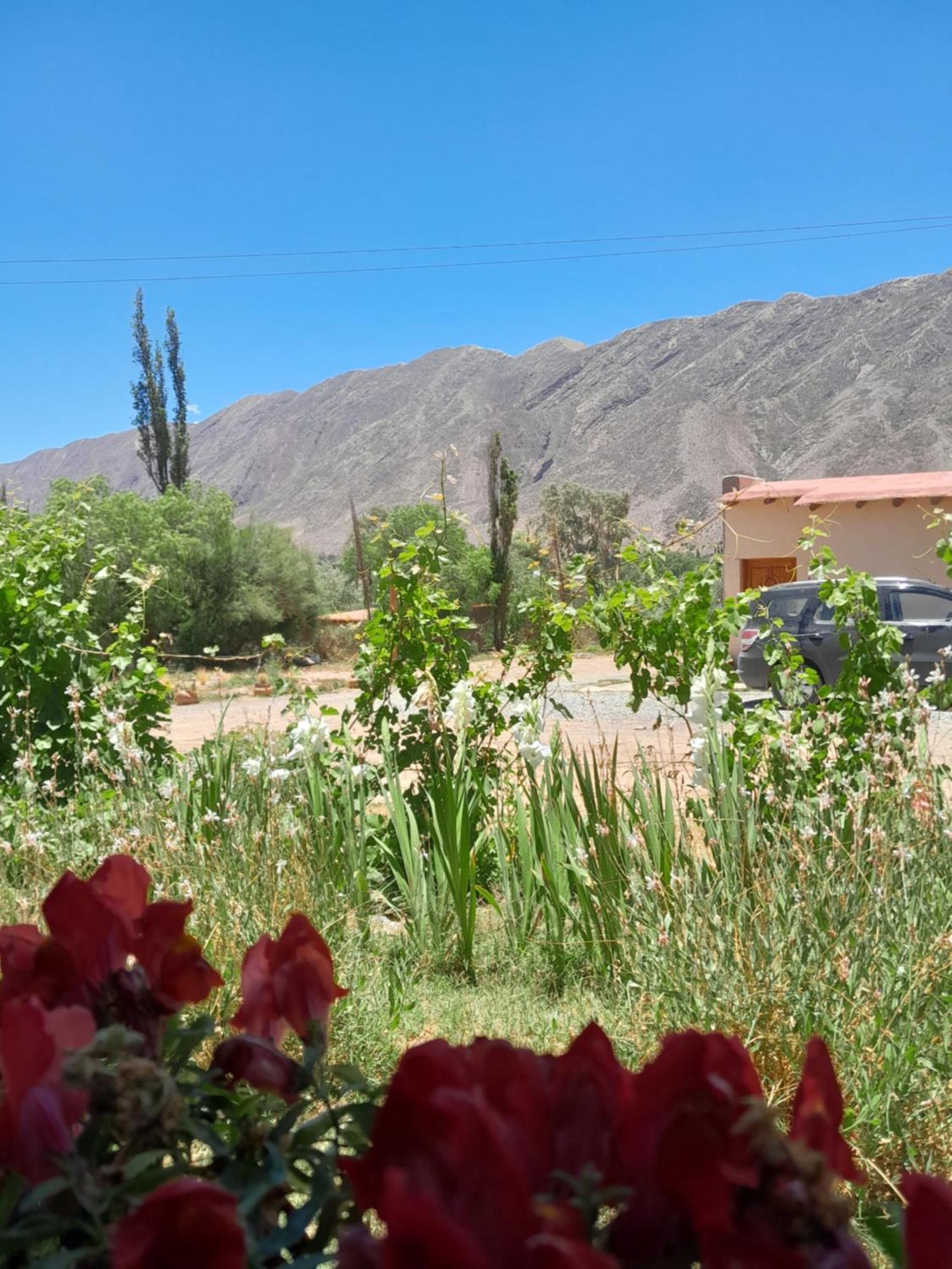 Tierra Primitiva Daire Tilcara Dış mekan fotoğraf